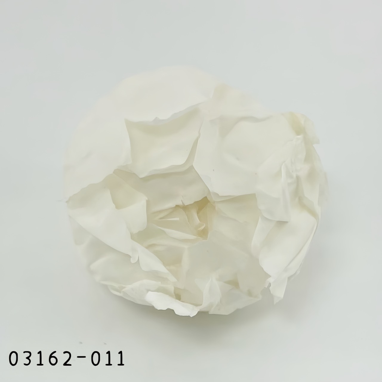 日本不凋芍藥03162-011