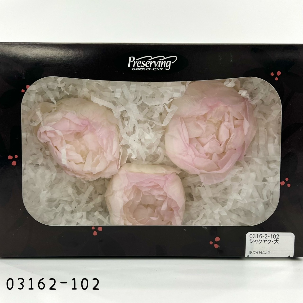 日本不凋芍藥03162-102