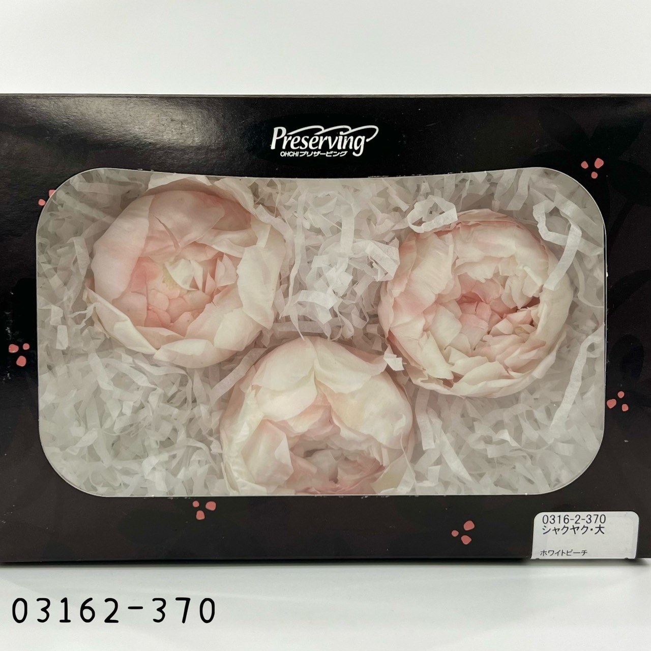 日本不凋芍藥03162-370