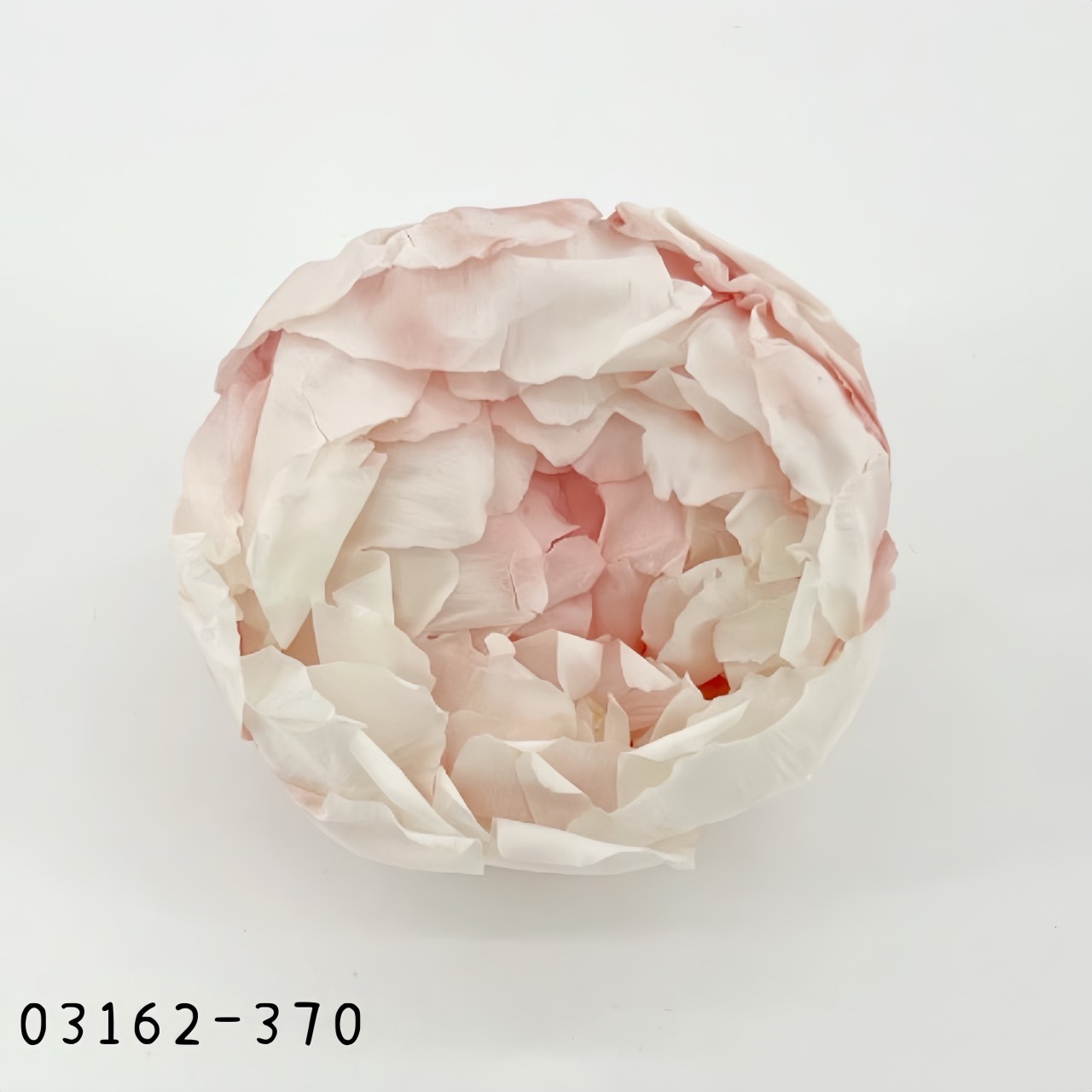 日本不凋芍藥03162-370