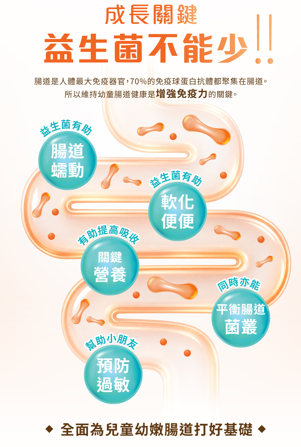 兒童益生菌腸道功能圖解,說明益生菌有助腸道蠕動、軟化便便、提高關鍵營養吸收、平衡腸道菌叢及預防過敏,強調腸道是兒童免疫基礎