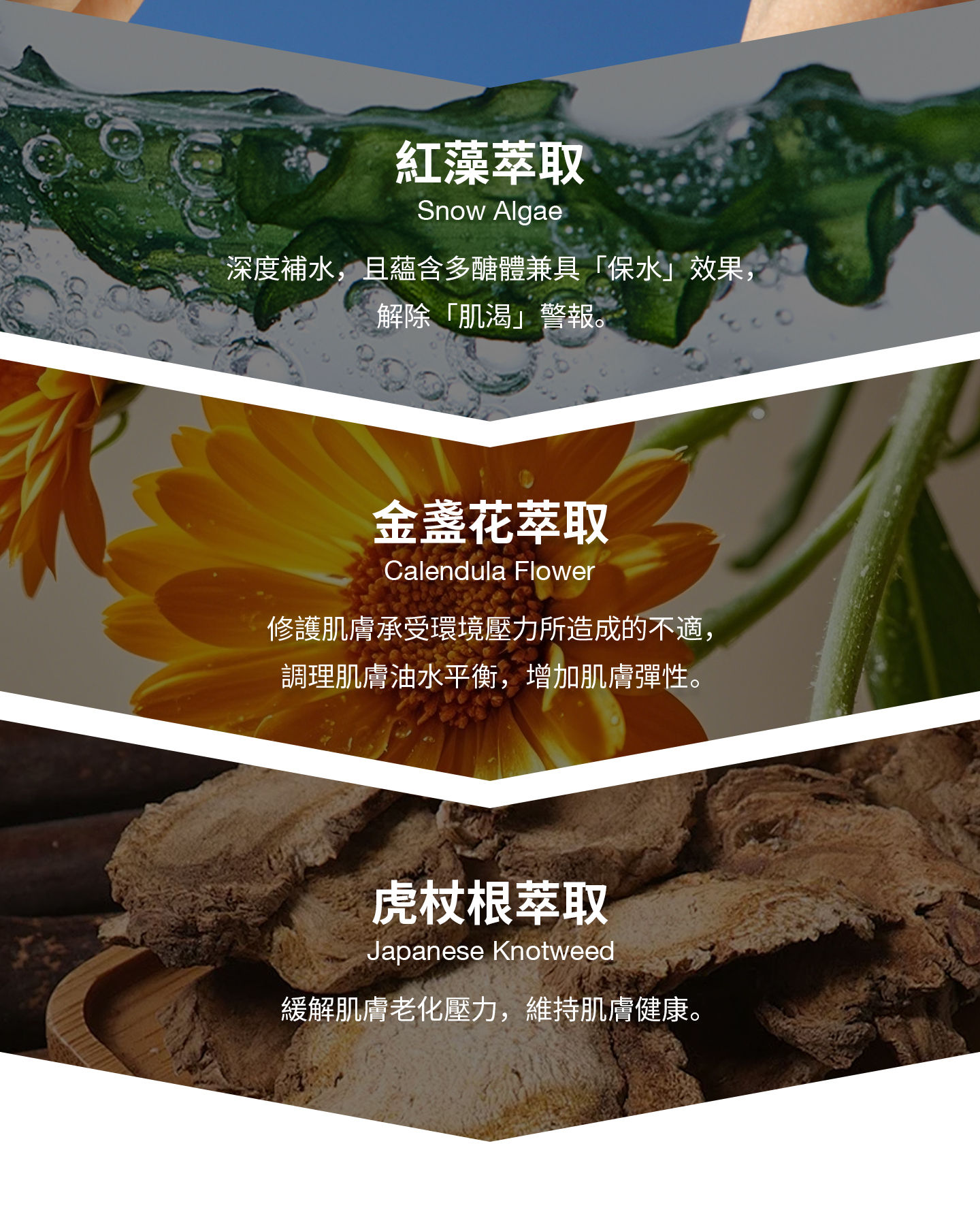 nomel 即刻發光修復面膜成分解析，金盞花萃取、紅藻萃取、虎杖根萃取深度補水，增加肌膚彈性並緩解肌膚老化壓力