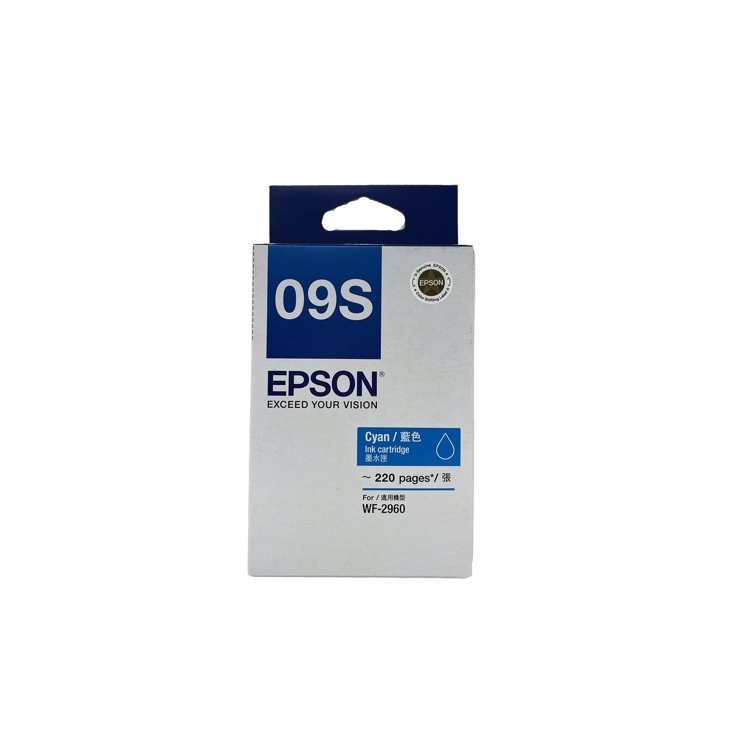 C13T09S283 Epson WorkForce 2960 - C ink