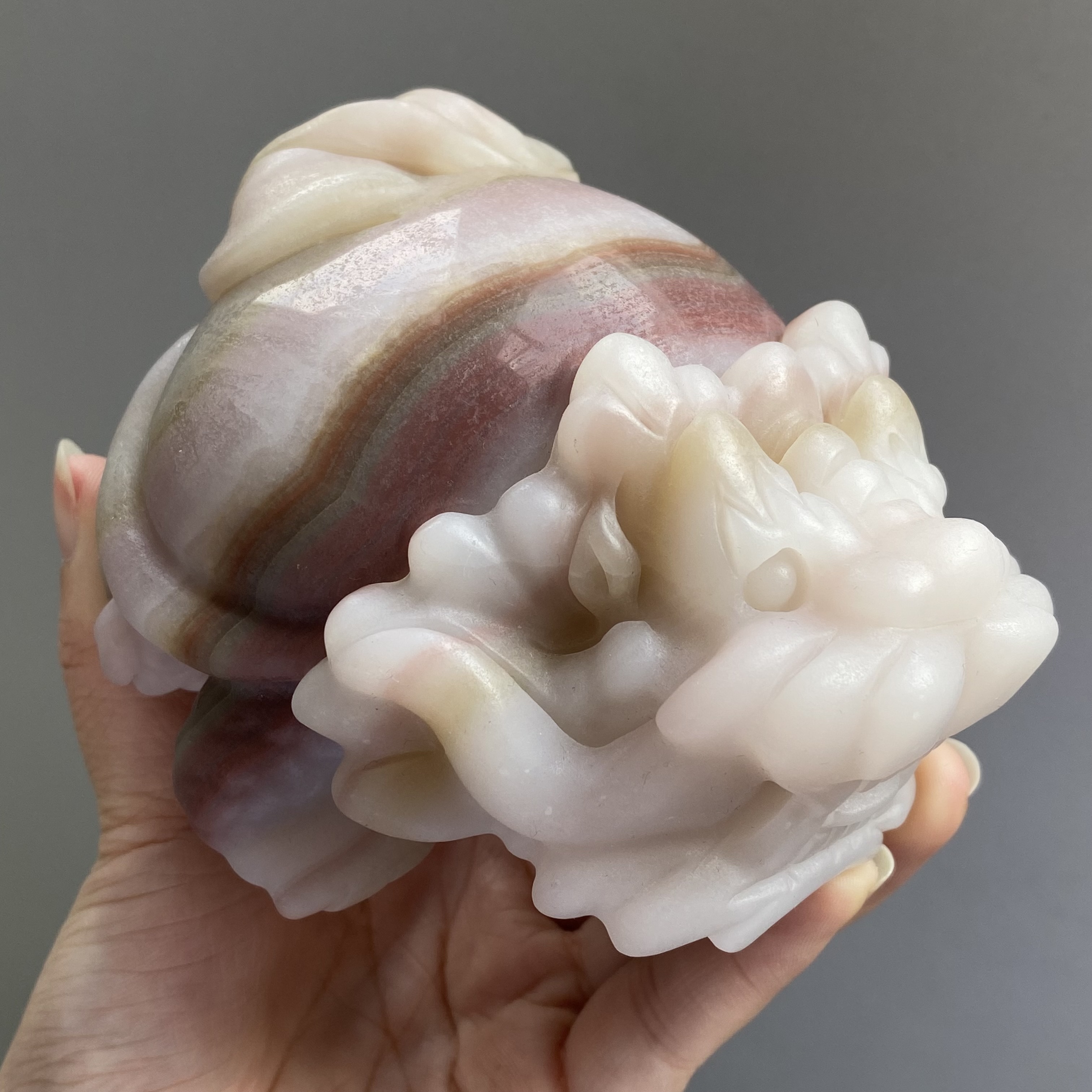 五彩玉龍龜