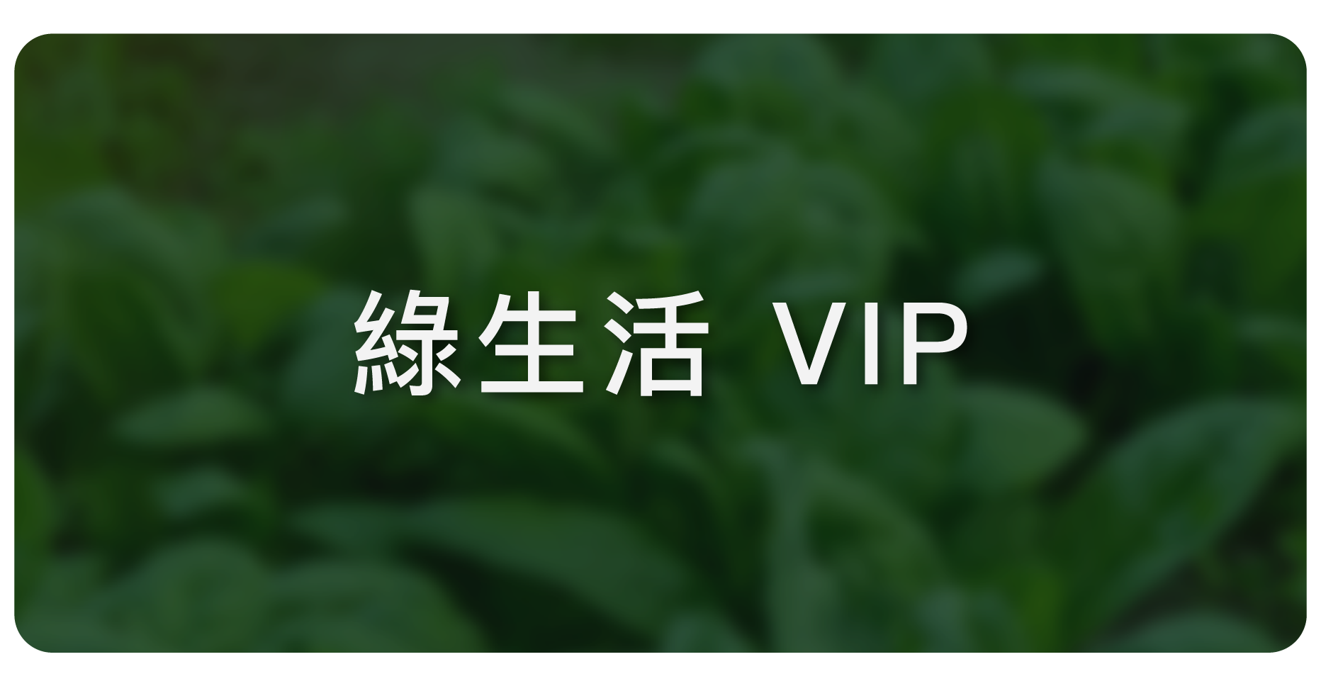 GREENERGIZE VIP 優惠
