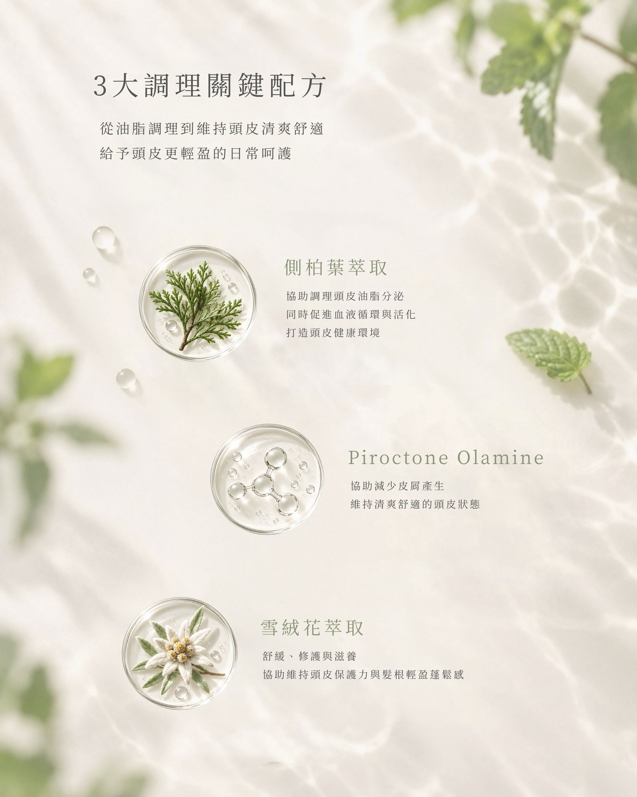 頭皮沁涼噴霧 3 大調理配方圖,介紹側柏葉萃取、Piroctone Olamine 與雪絨花萃取。