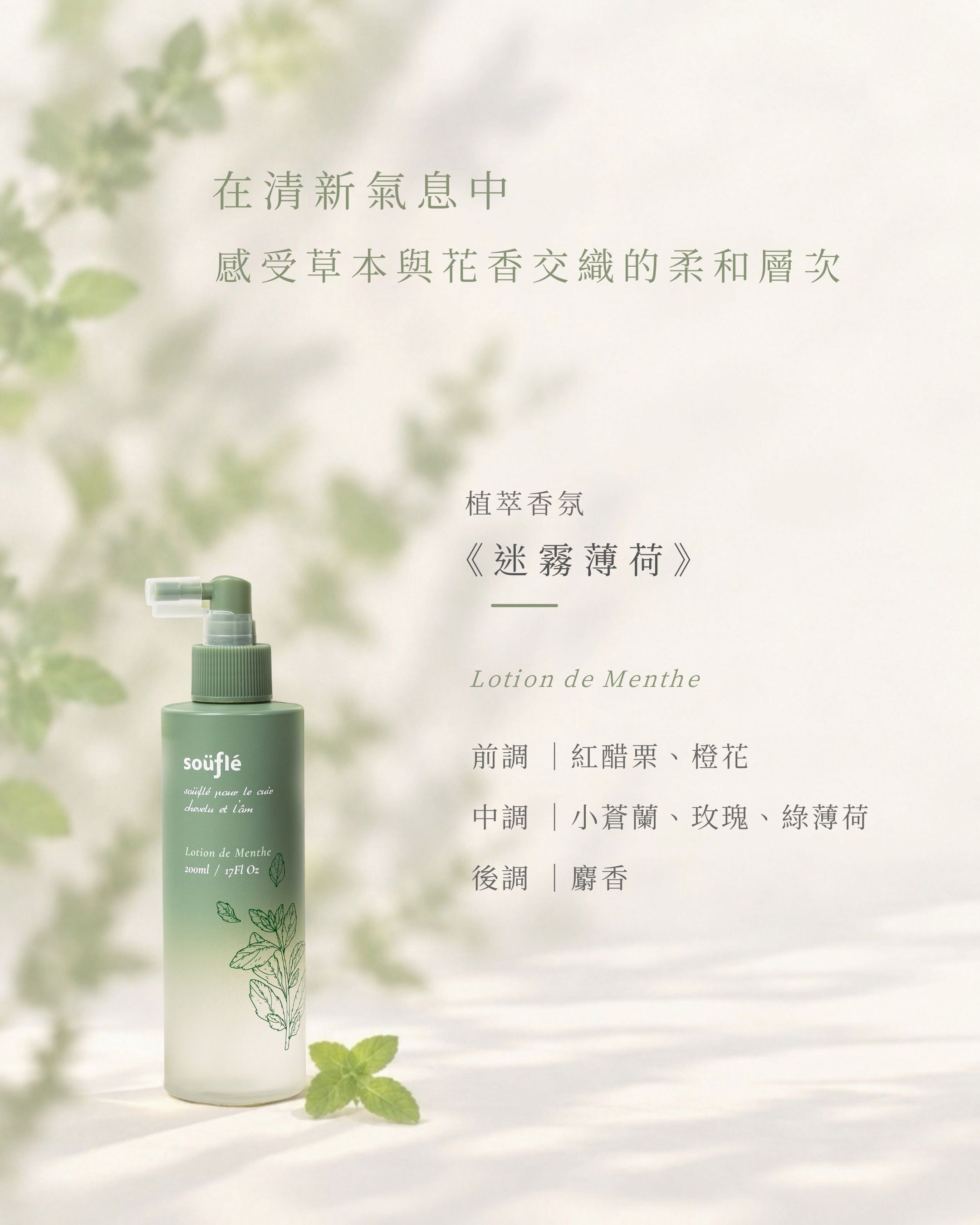 《迷霧薄荷》香氣層次圖:前調為紅醋栗與橙花,中調為小蒼蘭、玫瑰與綠薄荷,後調為麝香。