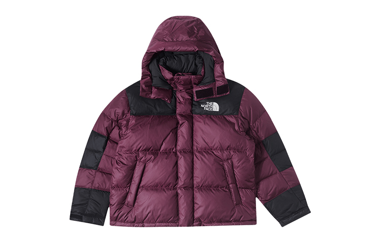 【代購】THE NORTH FACE Urban Exploration Down Jacket Men's Fuchsia NF0A832G-KK9