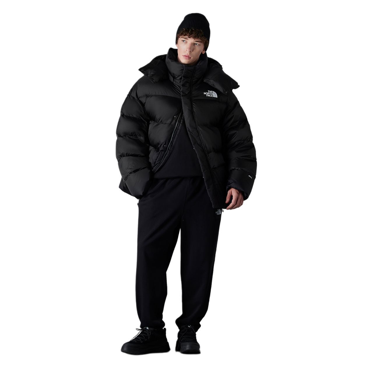 【代購】THE NORTH FACE Urban Exploration Down Jacket Unisex Black NF0A8ASD-4H0