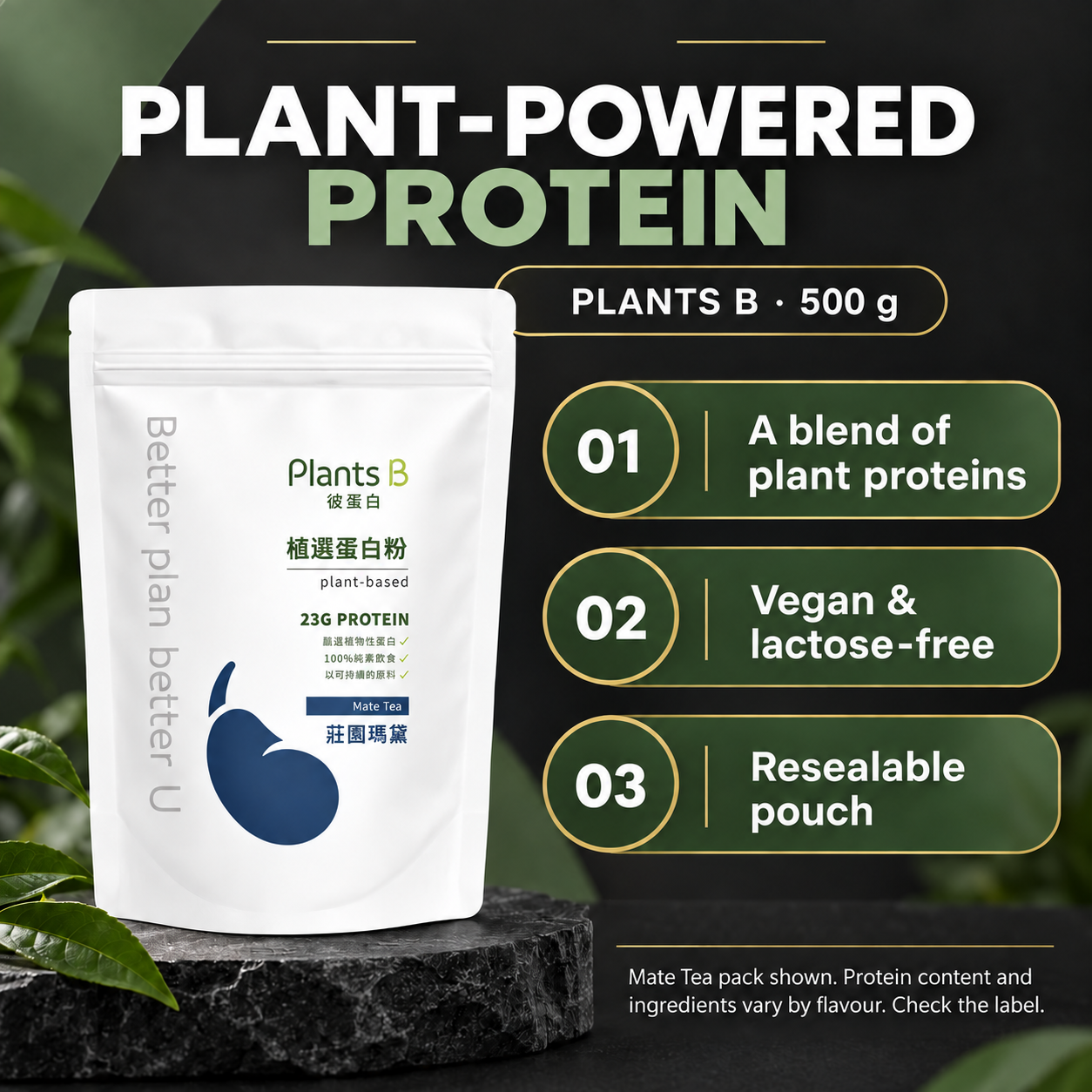 GOPOWER Plants B Vegan Protein 500 g Features EN