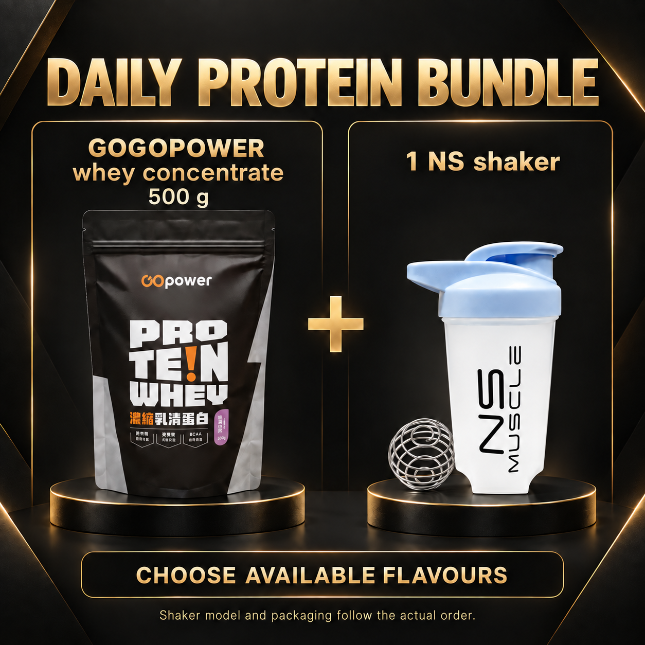 GOGOPOWER Whey 500 g + NS Shaker Bundle