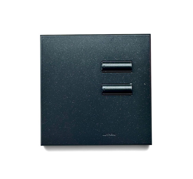 路創 QSWE-2BN-AW 2 個按鈕 INTERNATIONAL SEETOUCH QS 調光燈開關制 KEYPAD