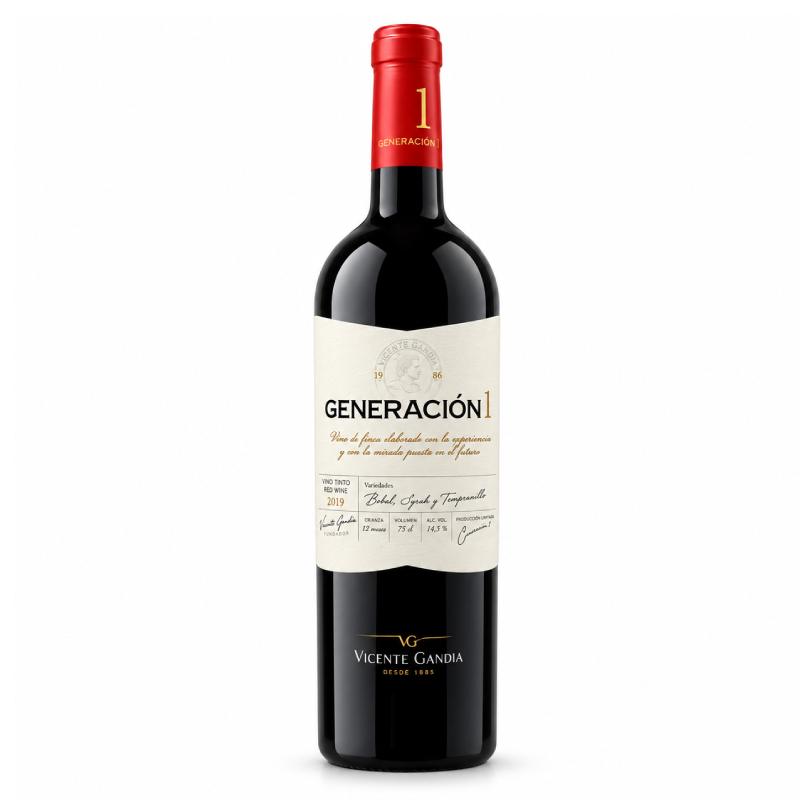 Vicente Gandia Generacion 1 2019