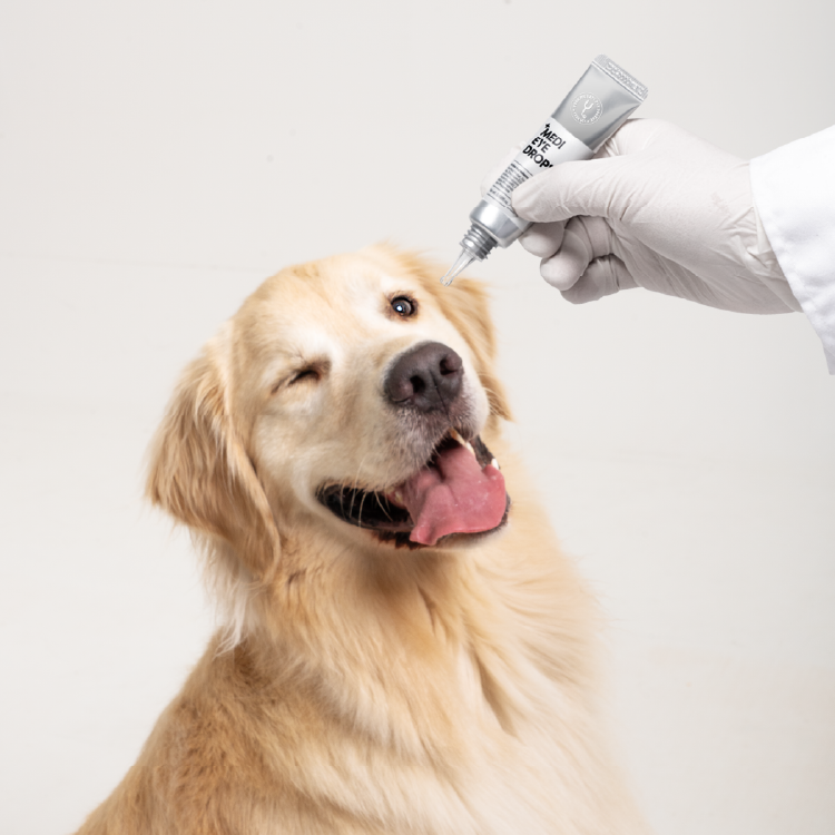 YourVet Medi Eye Drops 溫和眼藥水 (YV-0017)