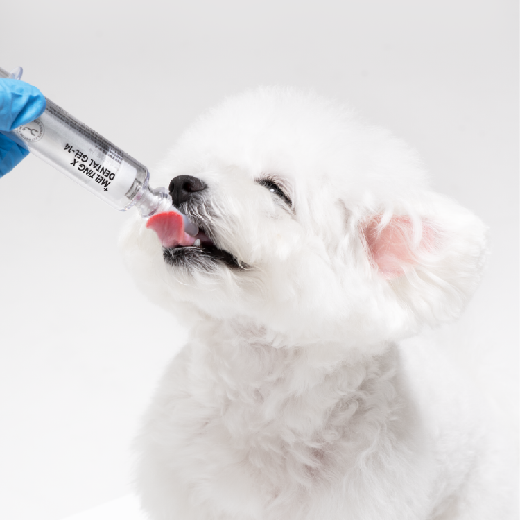 YourVet Melting X Dental Gel-14 口腔護理凝膠-14(YV-0086)