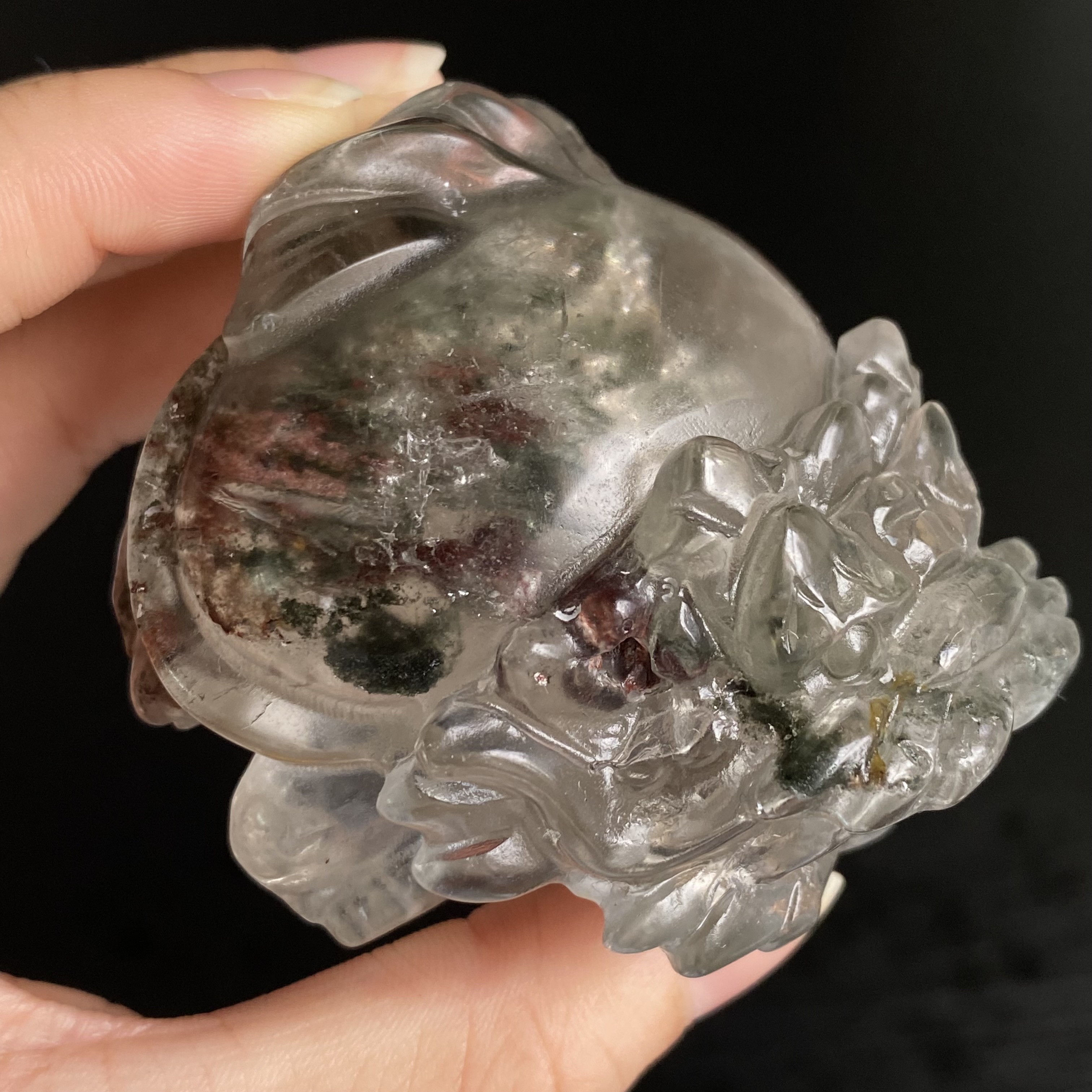 紅綠幽靈龍龜