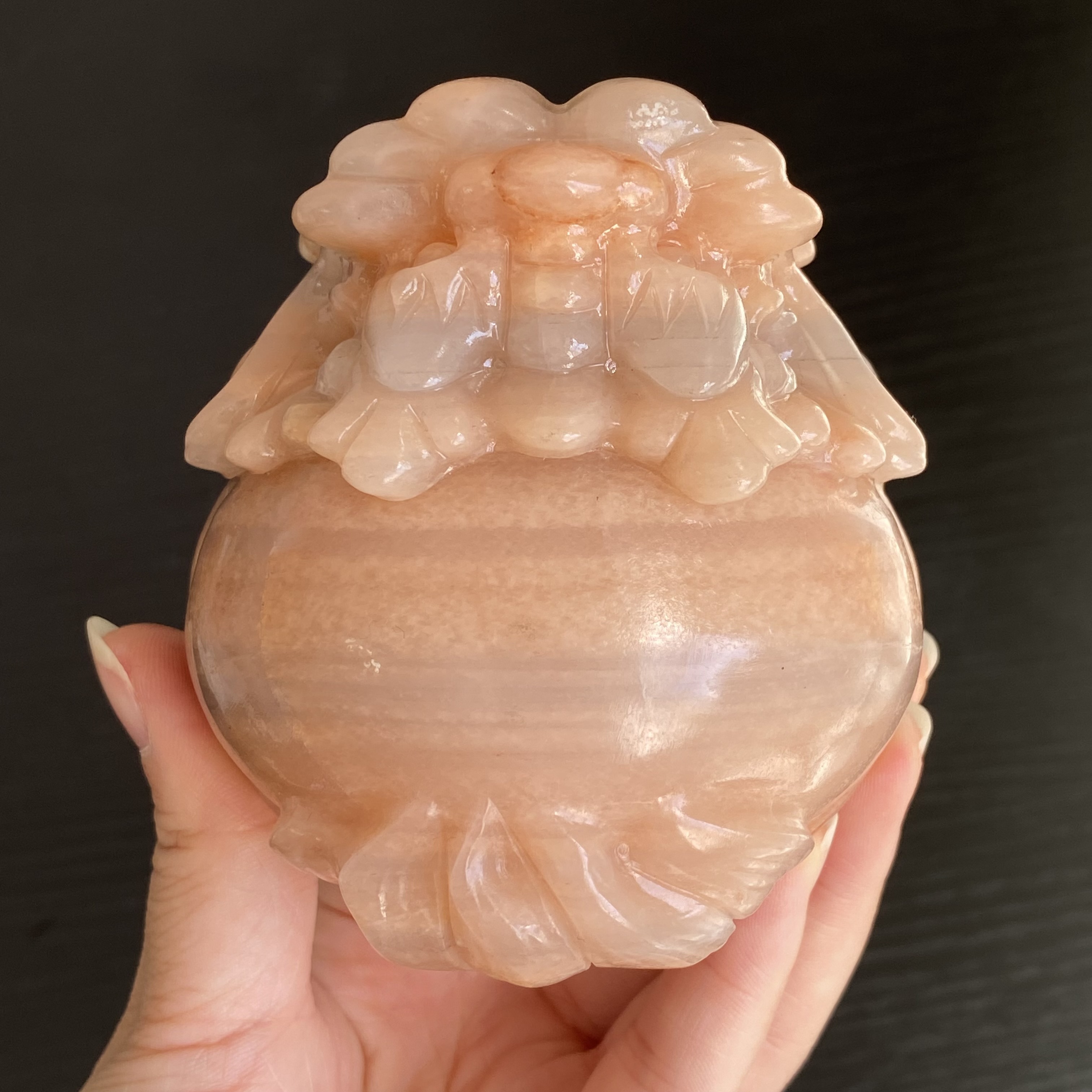 粉色佘太翠龍龜