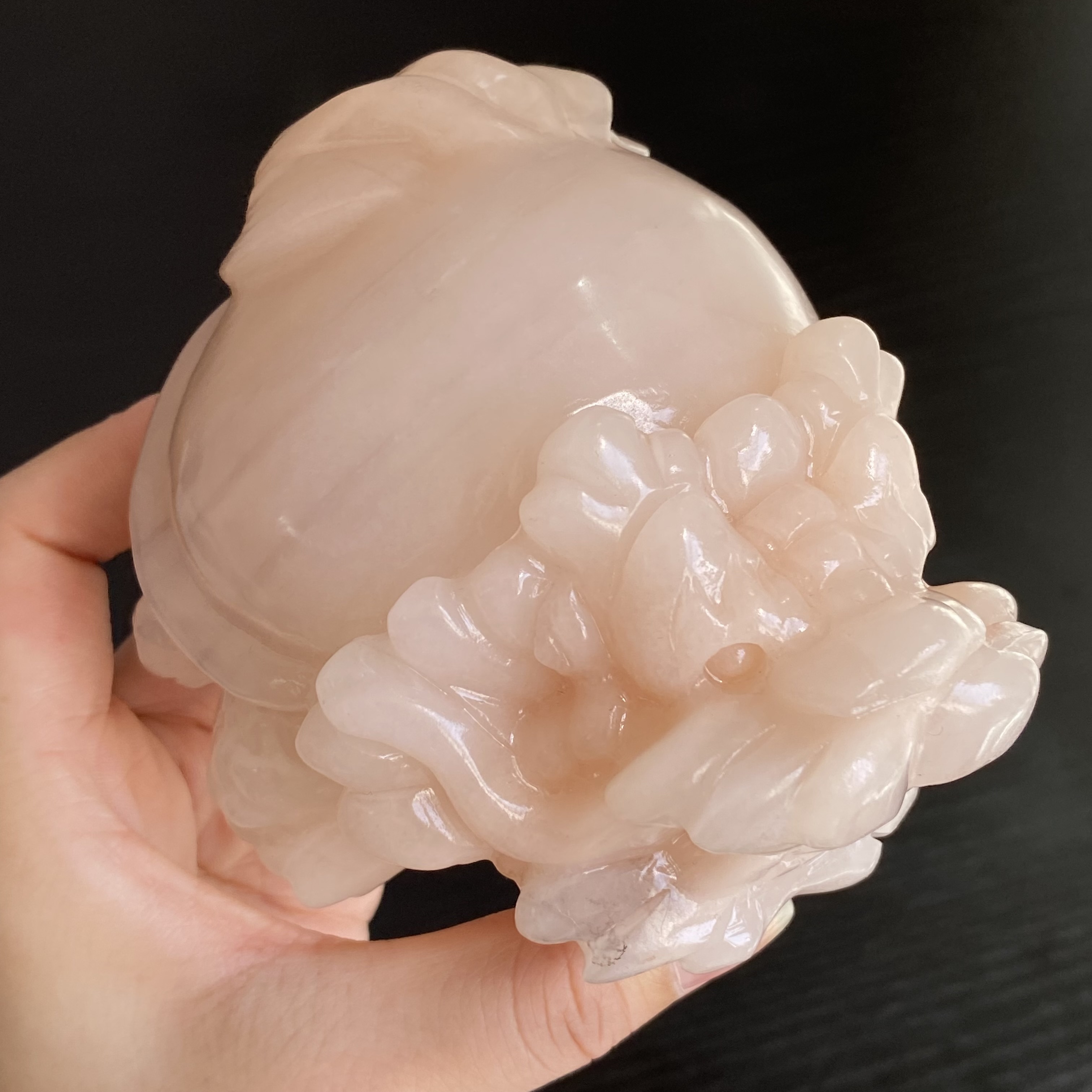 粉色佘太翠龍龜