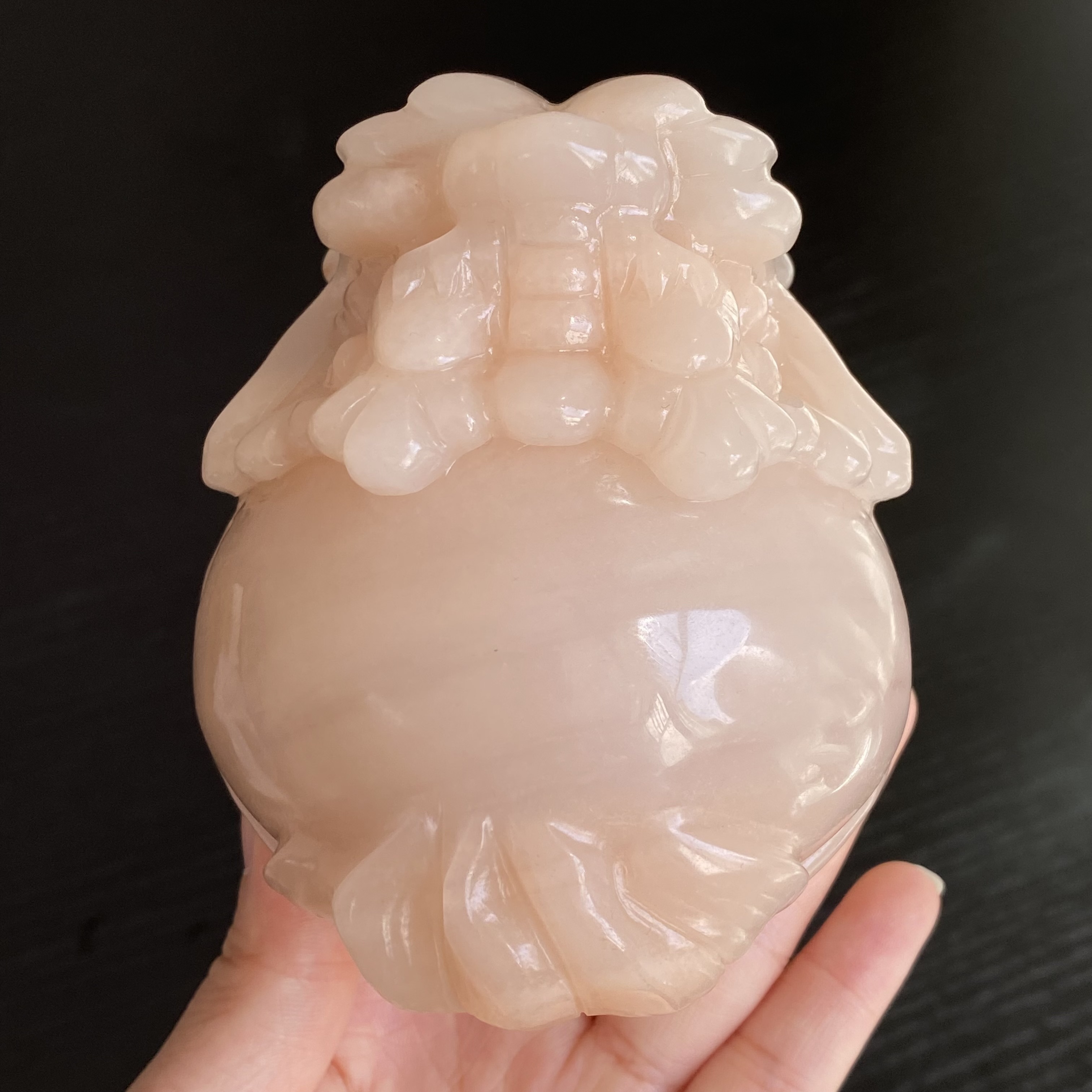 粉色佘太翠龍龜
