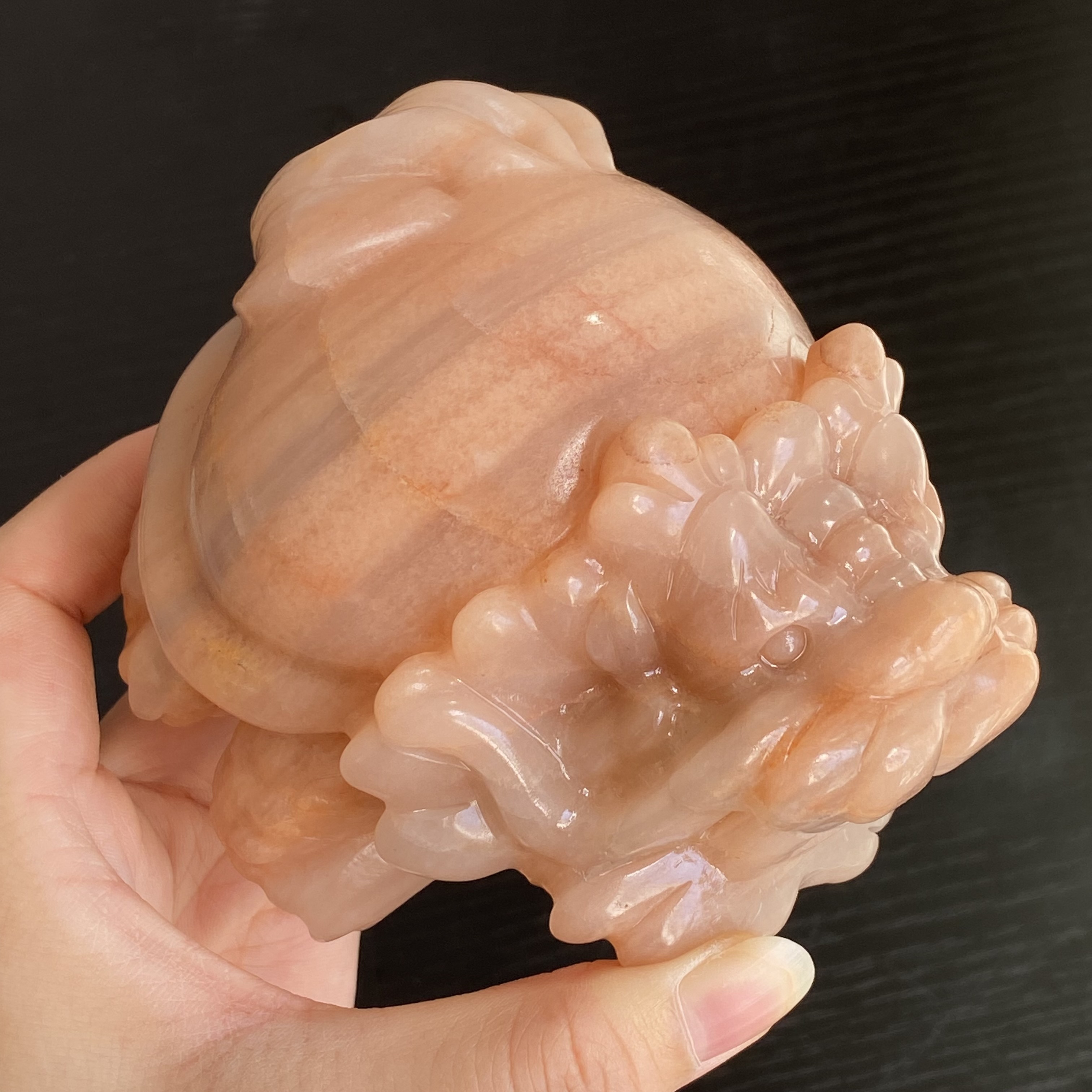 粉色佘太翠龍龜