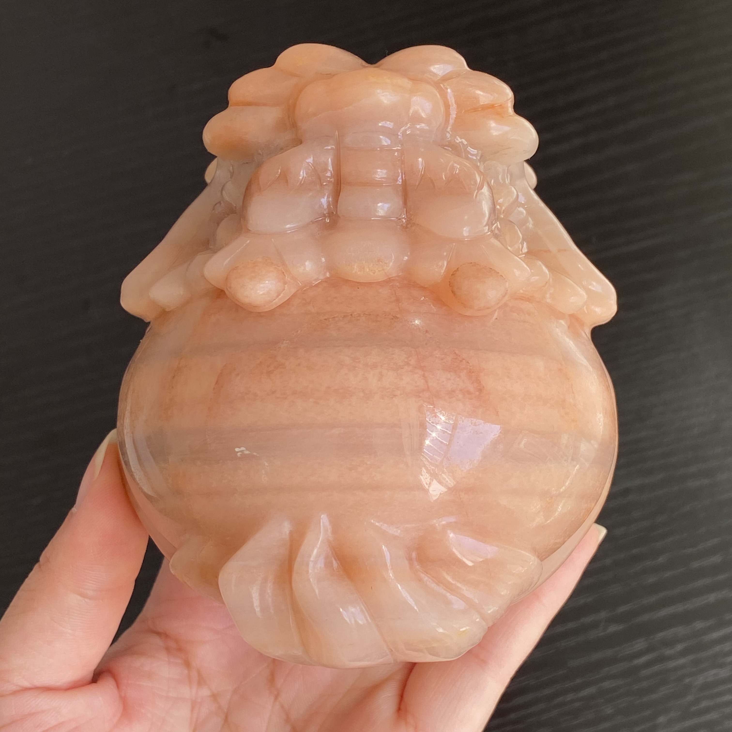 粉色佘太翠龍龜