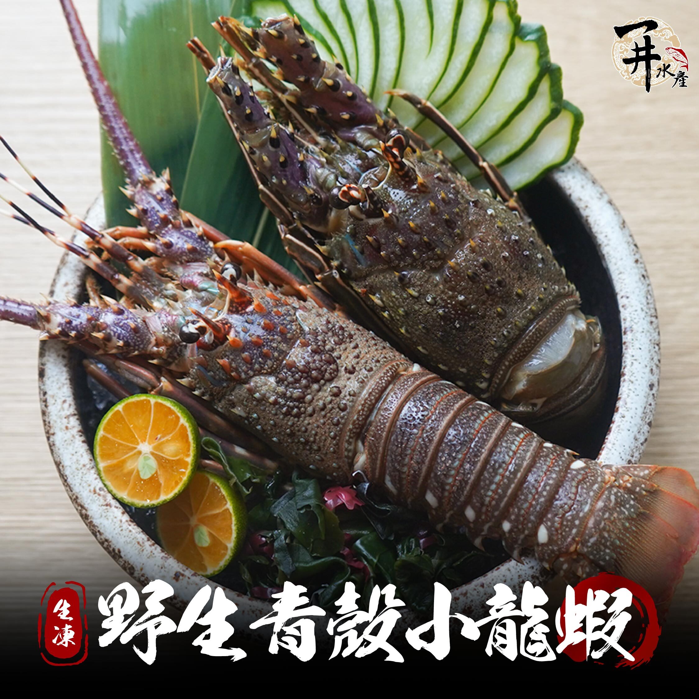 生凍 野生青殼小龍蝦｜青龍・七彩龍蝦・錦繡龍蝦・花龍