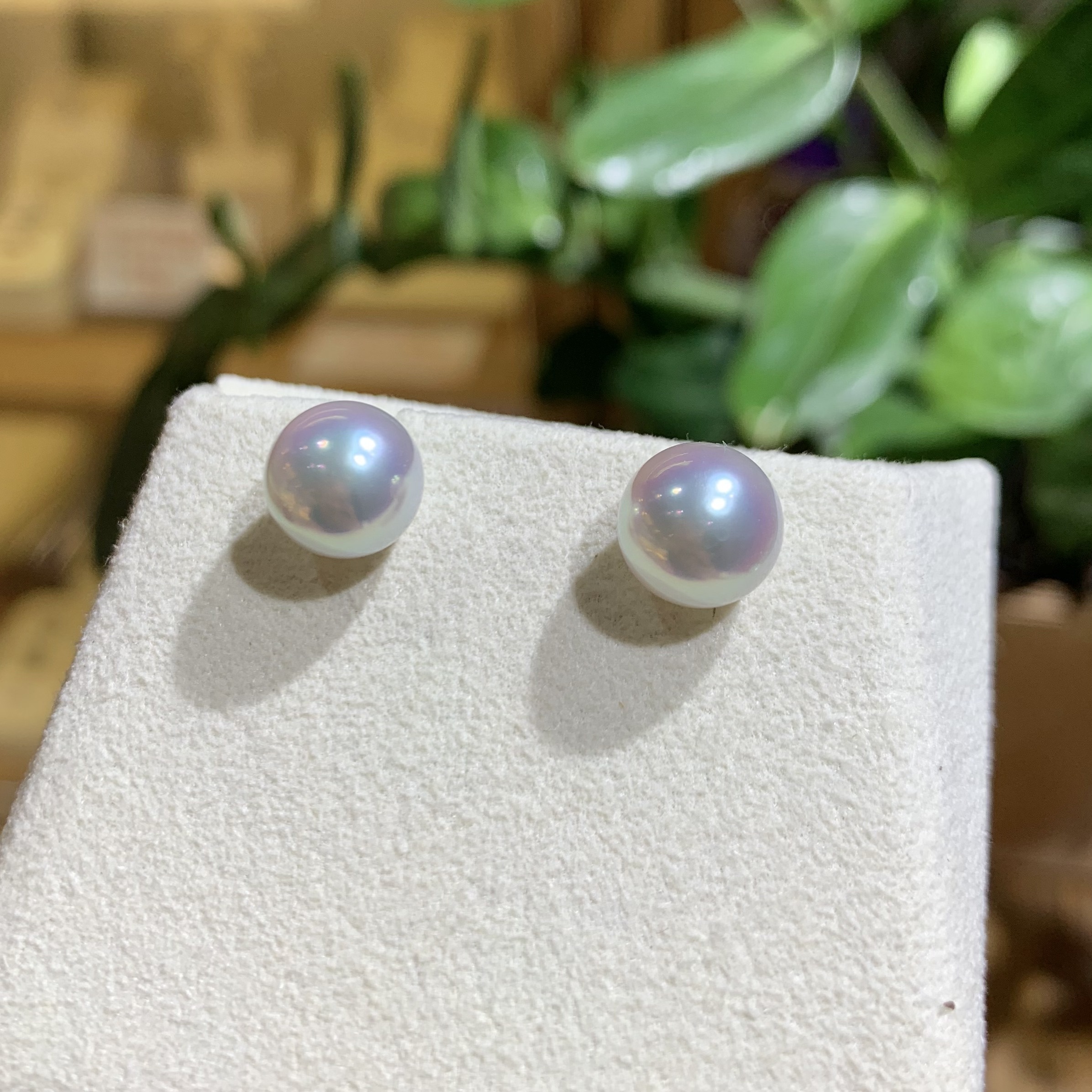 寶石級光輝-稀有大尺寸天然銀藍Akoya珍珠18K金耳釘 (9-9.5mm)