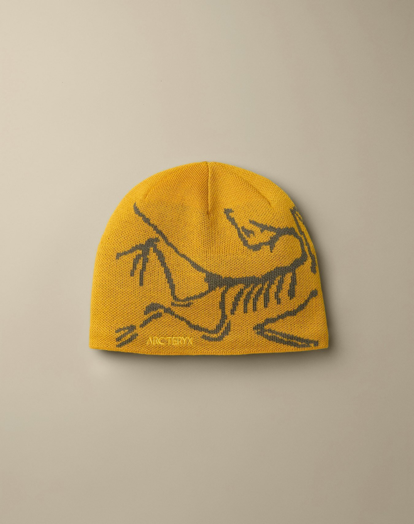Arc'teryx 始祖鳥 Bird Head Toque 毛帽 26FW