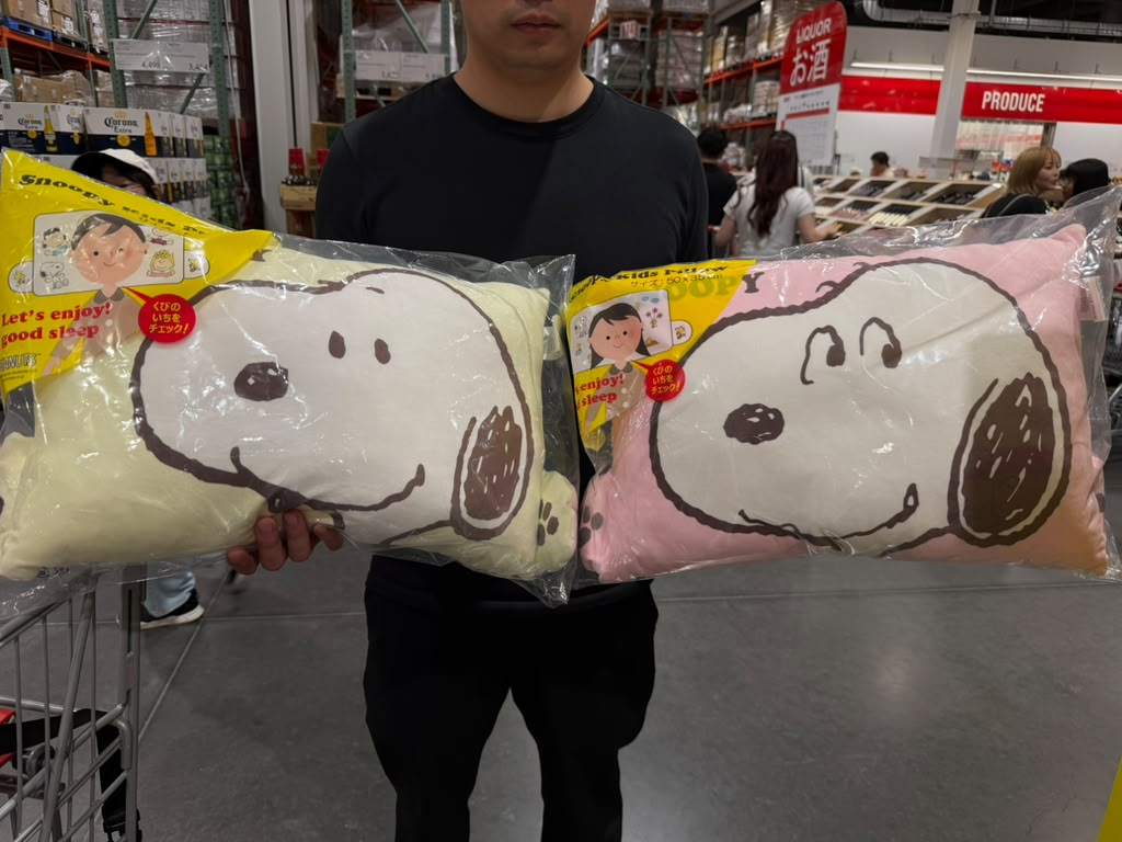 EY010 Nishikawa Snoopy 兒童枕 50x35cm Peanuts Kids Pillow