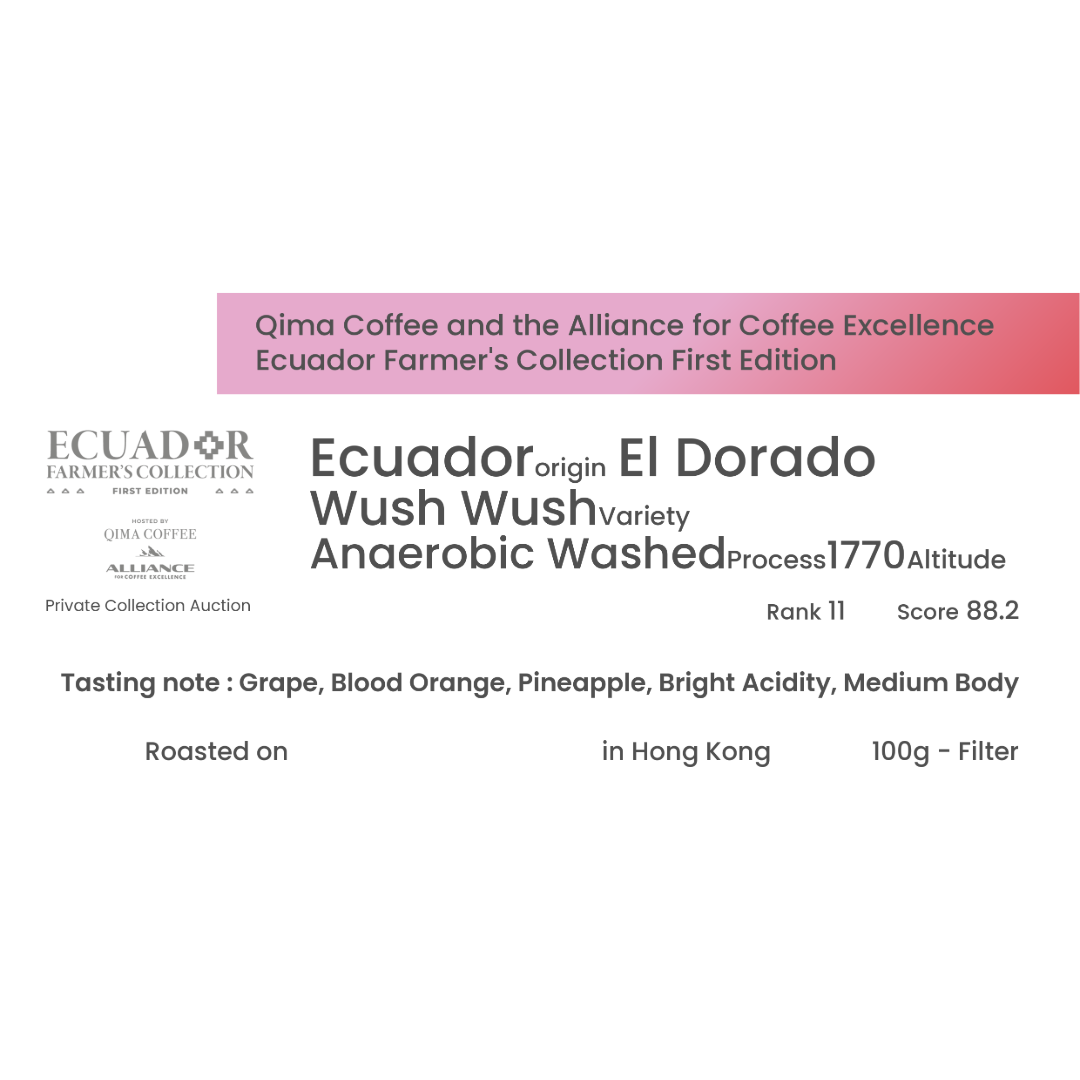 厄瓜多爾 El Dorado Wush Wush Anaerobic Washed