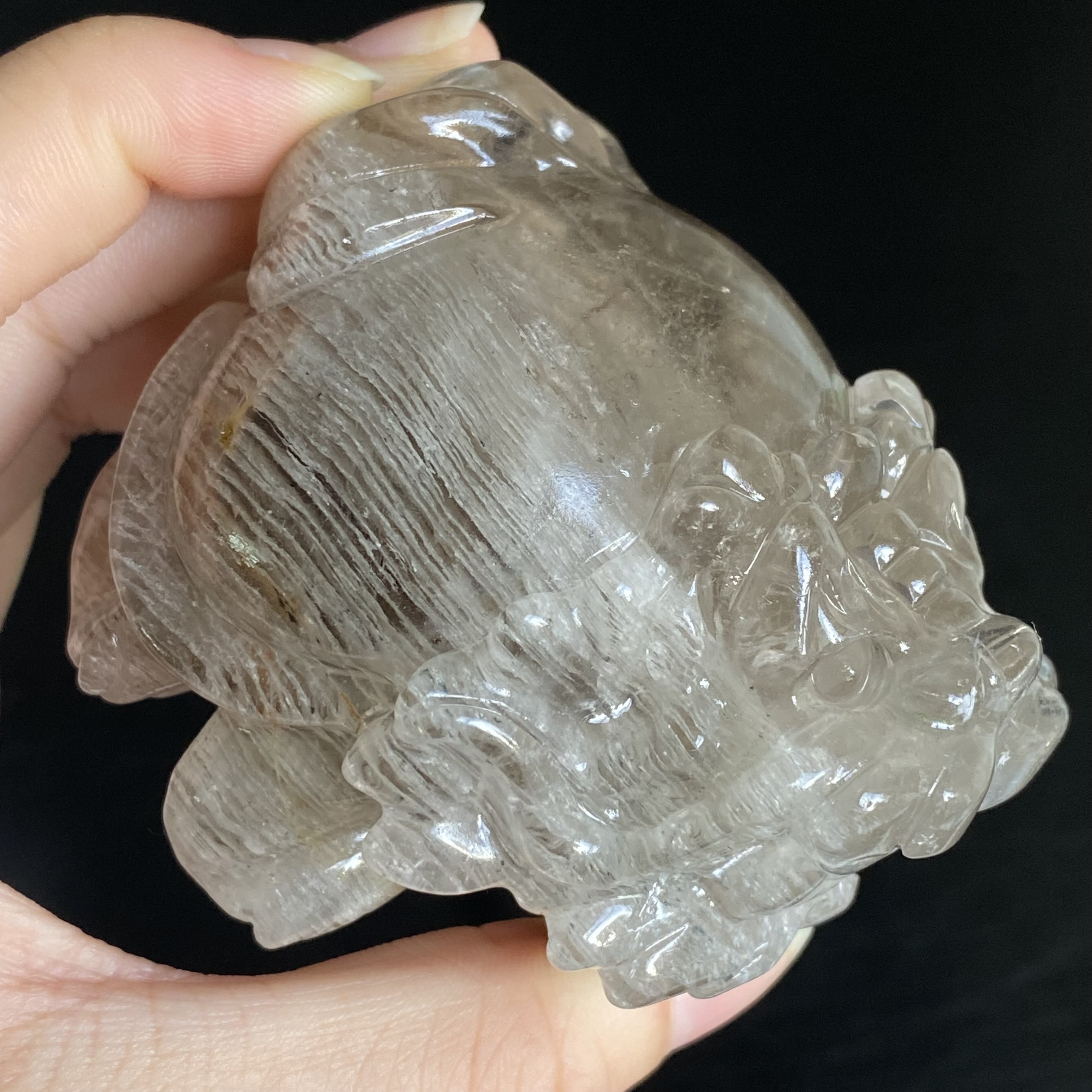 千層幽靈龍龜