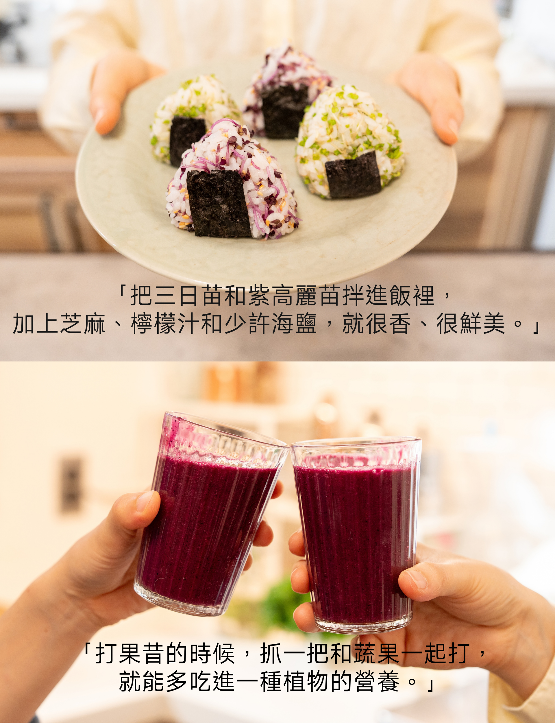 食譜