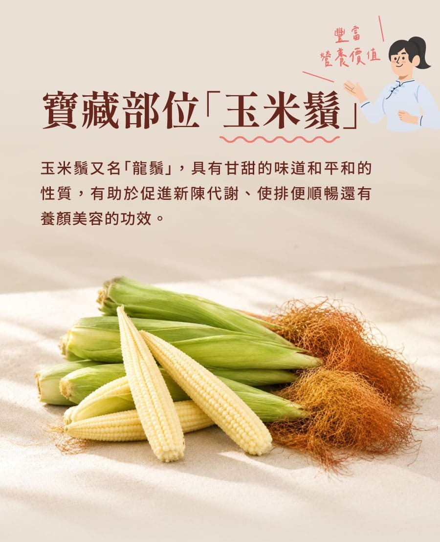 介紹玉米鬚