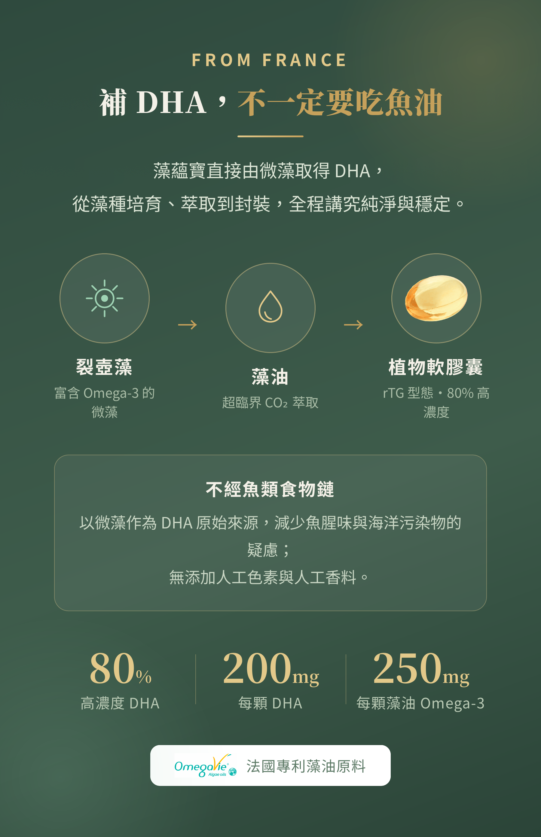 藻蘊寶 DHA 來自法國微藻