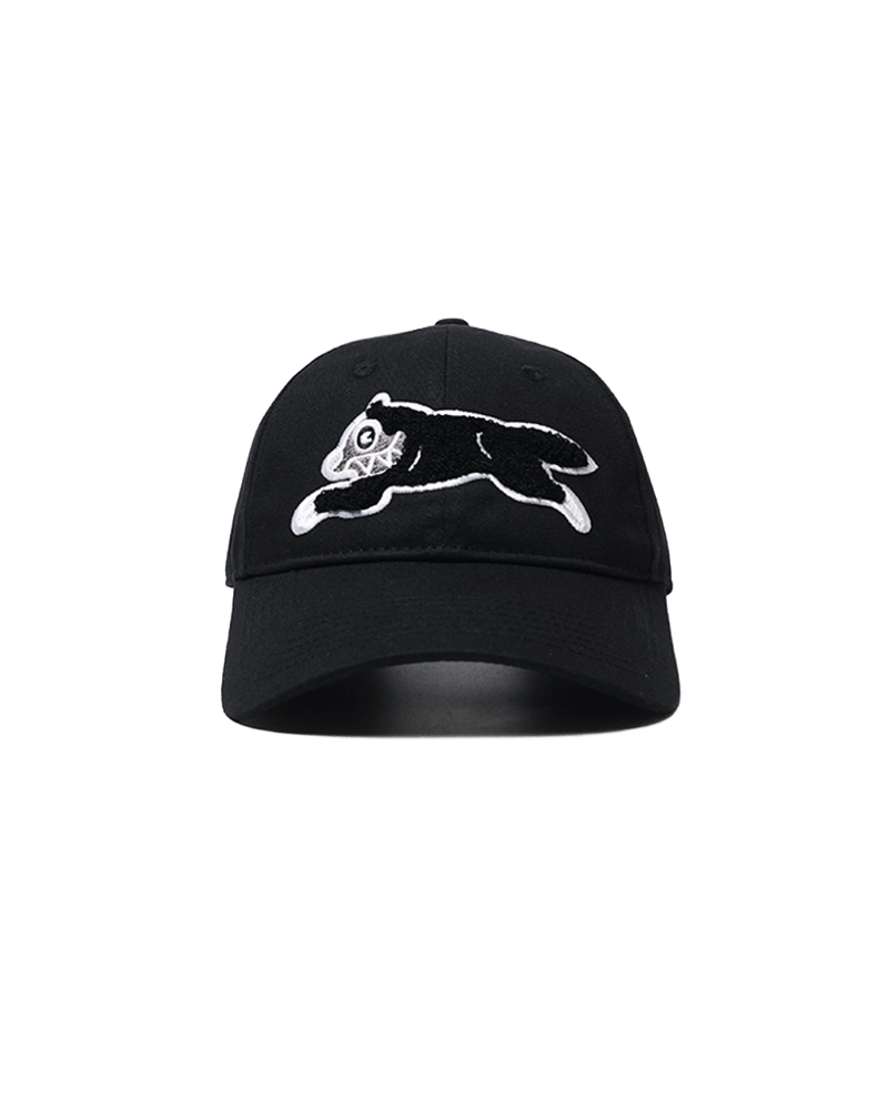 RUNNING DOG CAP