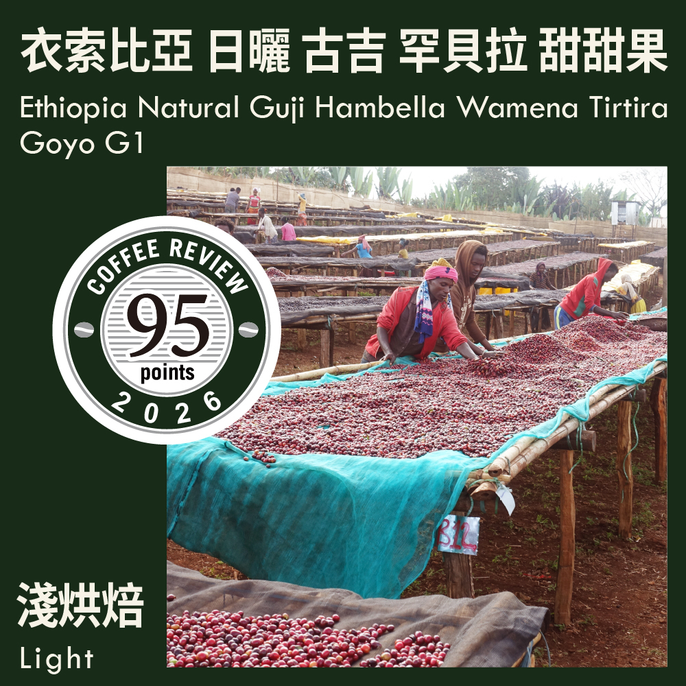 CR95-衣索比亞 日曬 古吉 罕貝拉 瓦米娜鎮 馬蹄蘭/塔塔加優/甜甜果 G1