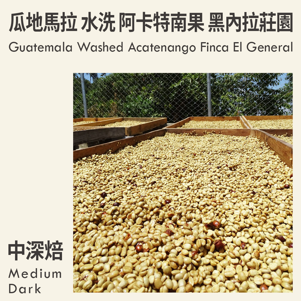 瓜地馬拉 水洗 阿卡特南果 黑內拉莊園
