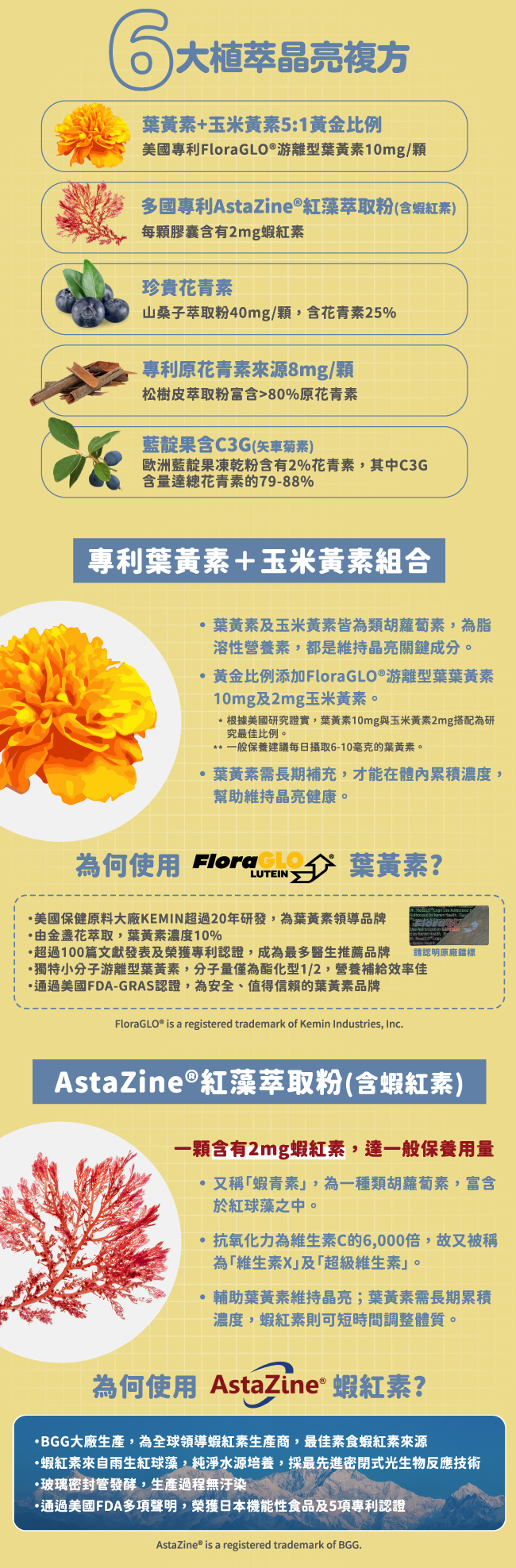 植萃晶亮複方,葉黃素,玉米黃素,5:1,黃金比例,美國專利,FloraGLO®,游離型,10mg,多國專利,Astazine,紅藻萃取粉,蝦紅素,AstaZine®,2mg,花青素,山桑子萃取粉,40mg,花青素,25%,專利原花青素,松樹皮萃取粉,葉黃素及玉米黃素皆爲類胡蘿蔔素,爲脂溶性營養素,都是維持晶亮關鍵成分,黃金比例添加,FloraGLO®,游離型葉葉黃素 10mg及2mg玉米黄素,AstaZine®,紅藻萃取粉,蝦紅素,一顆含有2mg,達一般保養用量,蝦青素,類胡蘿蔔素,富含於紅球藻之中,抗氧化力為維生素C的6,000倍,維生素X,超級維生素,輔助葉黃素維持晶亮,可短時間調整體質,BGG大廠生產,為全球領導蝦紅素生產商,最佳素食蝦紅素來源,來自雨生紅球藻,純淨水源培養,採最先進密閉式光生物反應技術,玻璃密封管發酵,生產過程無汙染,通過美國FDA多項聲明,榮獲日本機能性食品,5項專利認證