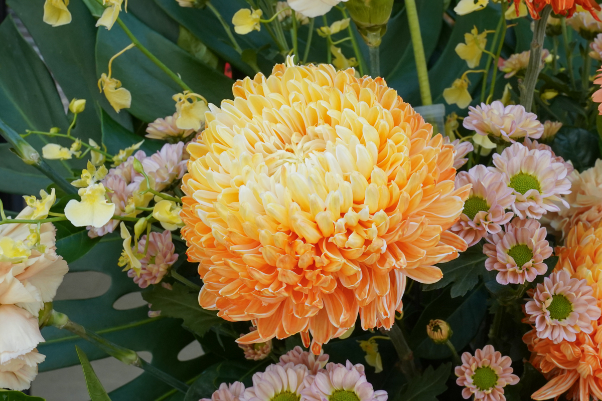 高架花籃橘黃色,台北高架花籃推薦,開幕高架花籃,開幕升遷花籃推薦23