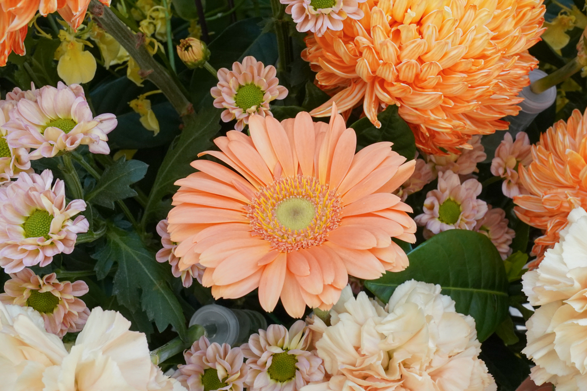 高架花籃橘黃色,台北高架花籃推薦,開幕高架花籃,台北開幕升遷花籃推薦34