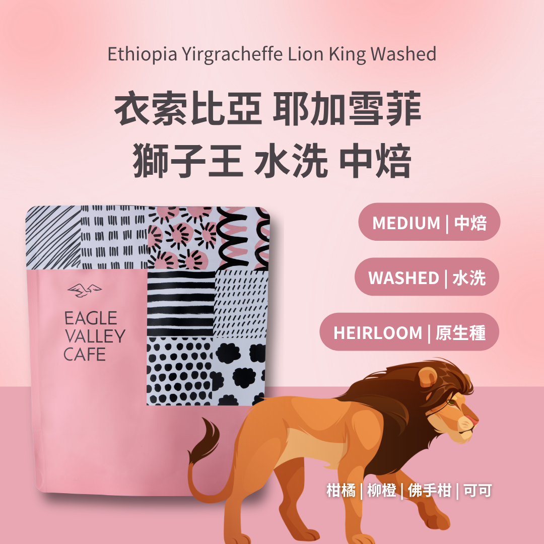 衣索比亞 耶加雪菲 獅子王 水洗 中焙 咖啡豆