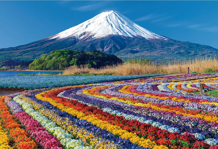 一塊俯瞰富士山的花毯