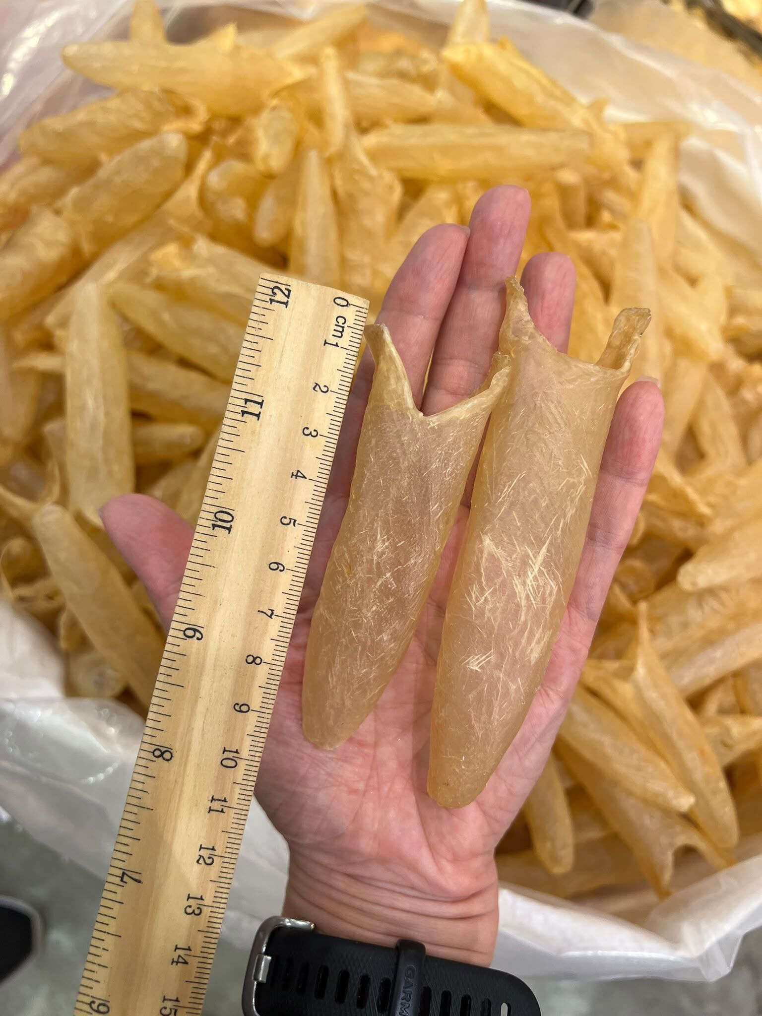 金龍肚筒 200克約38隻