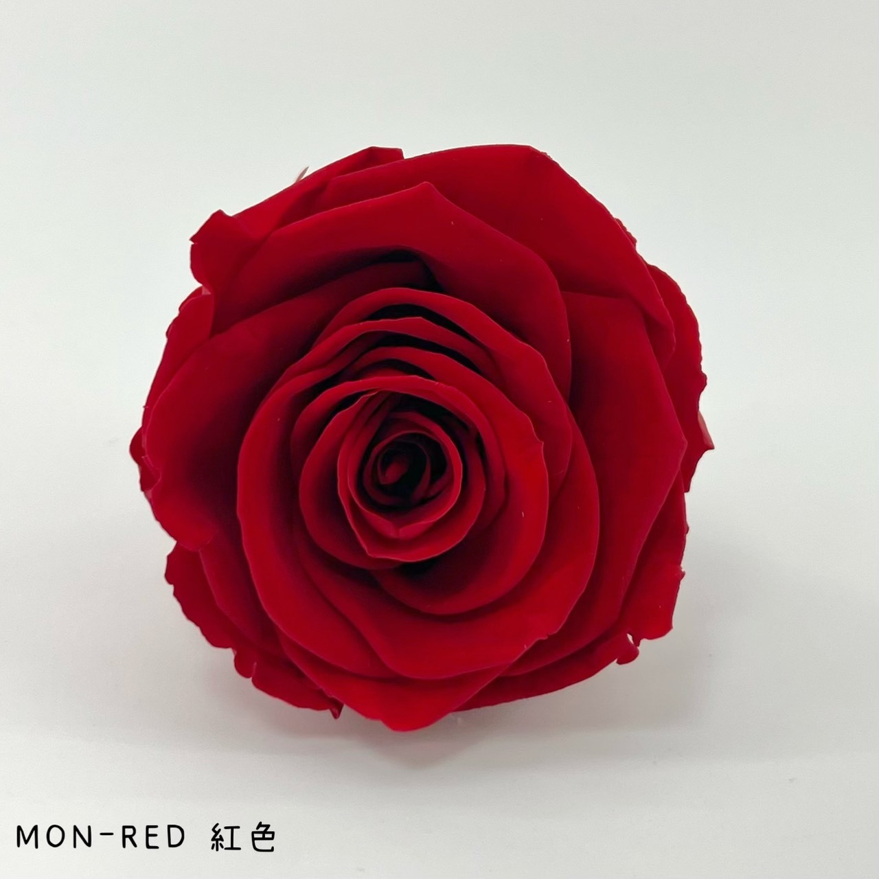 哥倫比亞 VERMEILLE-MON(X3朵) 紅色