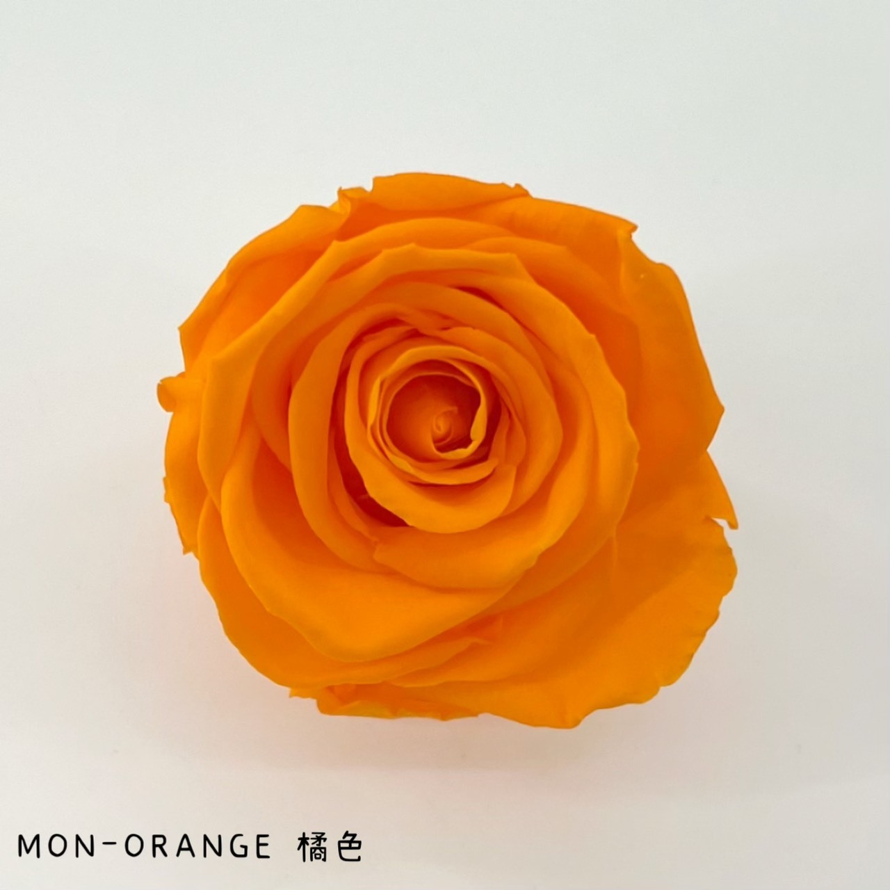 哥倫比亞 VERMEILLE-MON(X3朵) 橘色