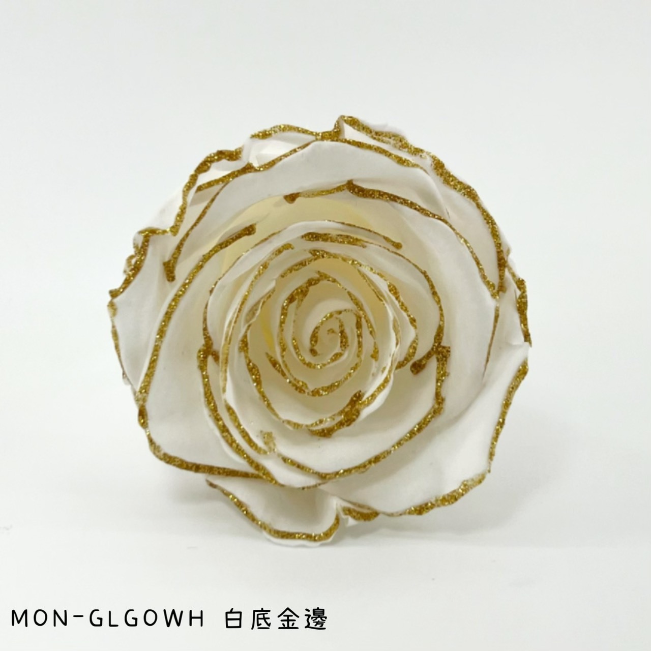 哥倫比亞 VERMEILLE-MON(X3朵) 白底金邊