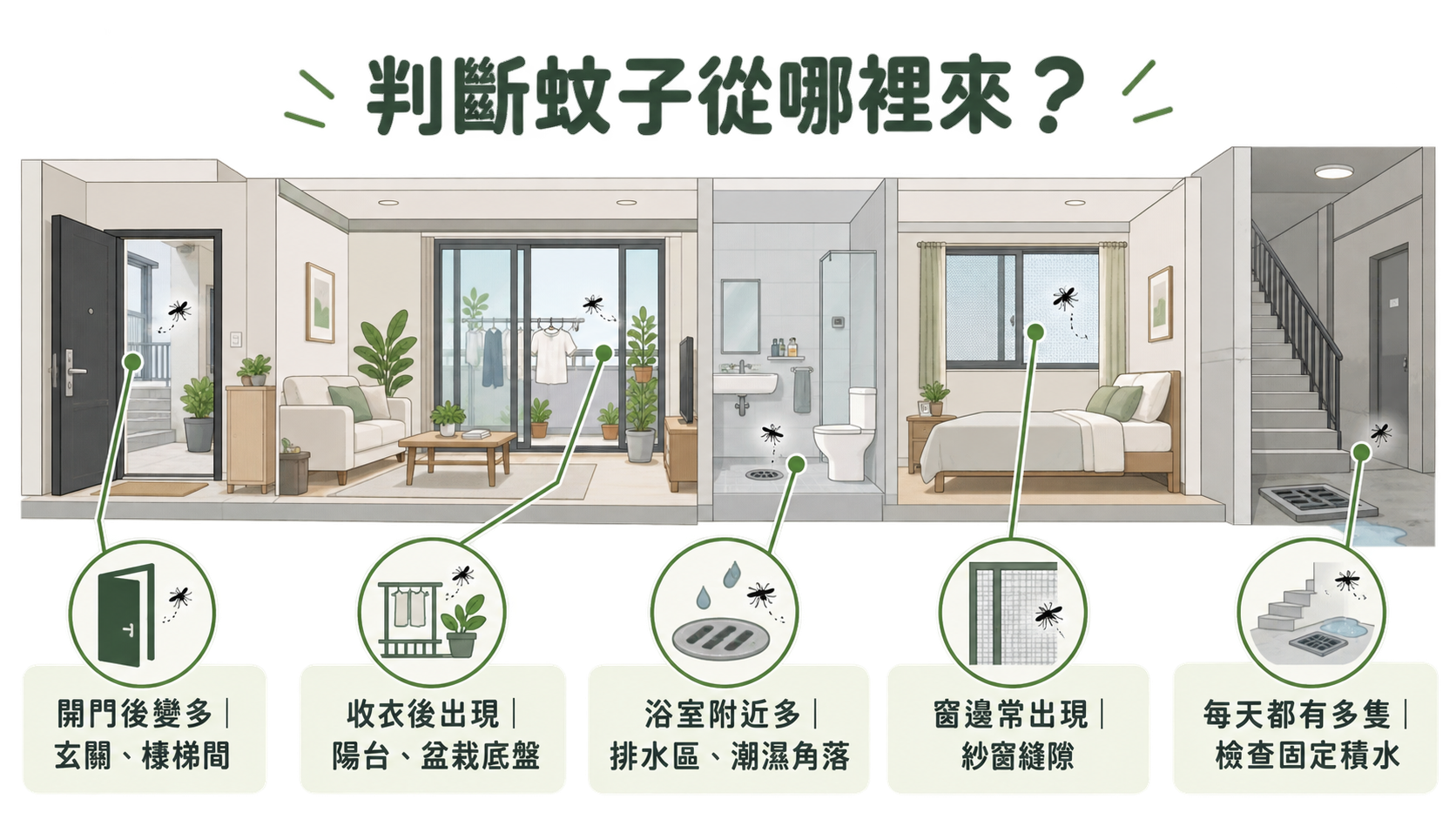 判斷蚊子從哪裡來？5大居家常見入侵點與檢查指南