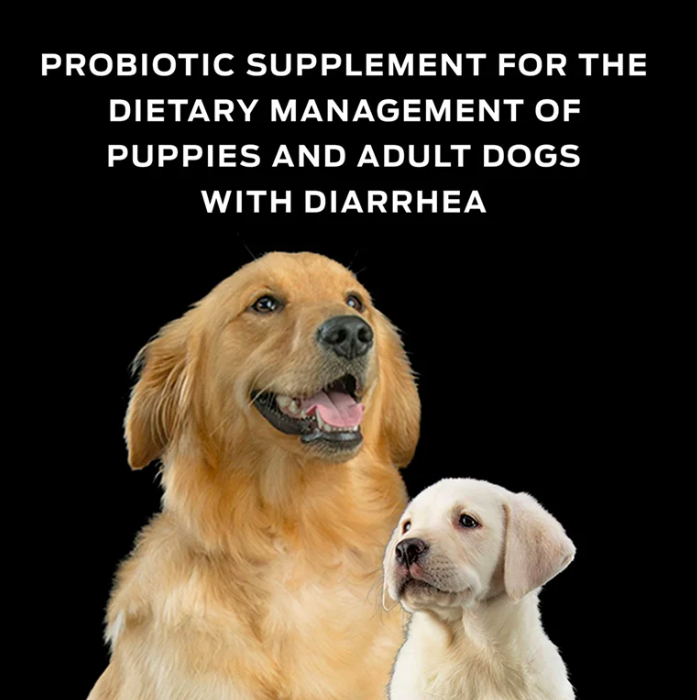 Purina ProPlan -處方食品犬專用益生菌補充劑 (每盒30小包)