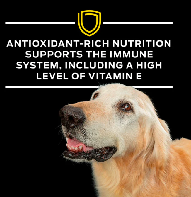 Purina ProPlan - 處方食品 NC犬用腦神經護理配方糧 ( 6磅)