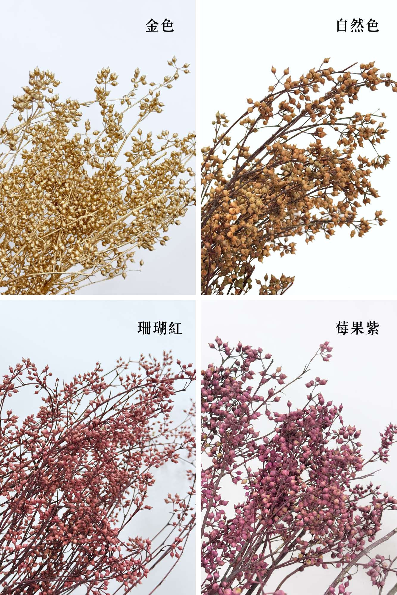 乾燥小米果
